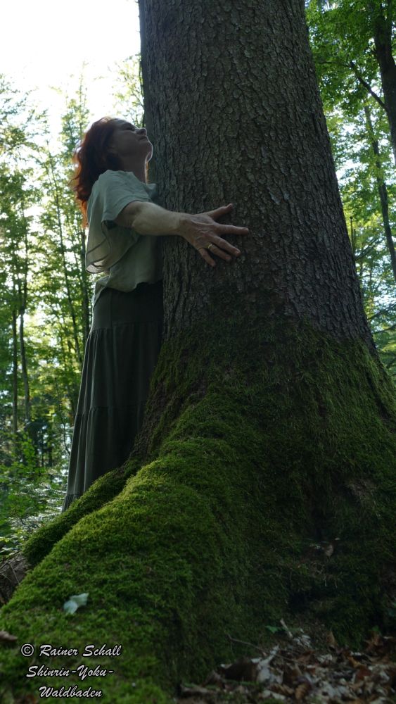 Eine Frau umarmt einen kräftigen Baumstamm