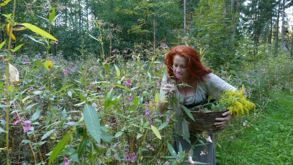 Mit allen Sinnen den Wald und die Natur erfahren, eine Frau riecht an Waldpflanzen